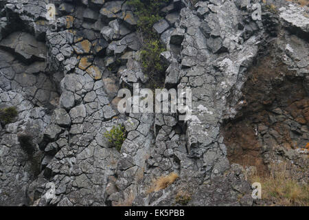 säulenförmigen Basalt der Pyramiden Lava Rock formationen Otago Peninsula Dunedin Neuseeland Südinsel erosion Stockfoto