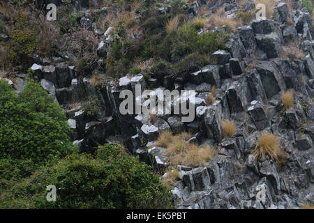 säulenförmigen Basalt der Pyramiden Lava Rock formationen Otago Peninsula Dunedin Neuseeland Südinsel erosion Stockfoto