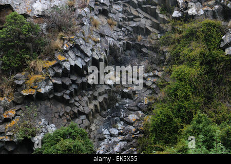 säulenförmigen Basalt der Pyramiden Lava Felsformationen Otago Peninsula Dunedin Neuseeland Südinsel Stockfoto