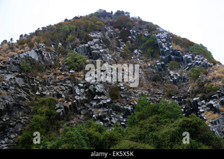 säulenförmigen Basalt der Pyramiden Lava Felsformationen Otago Peninsula Dunedin Neuseeland Südinsel Stockfoto