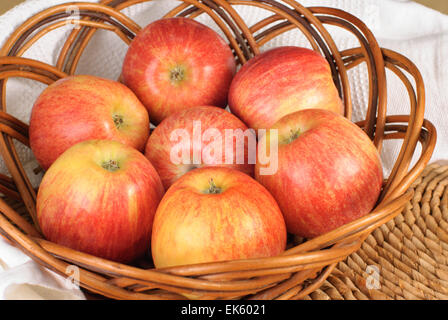 Red Gala Äpfel in einer Korb-Platte Stockfoto