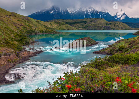 Torres del Paine Nationalpark in Patagonien im Süden von Chile, Südamerika. Stockfoto