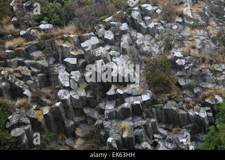 säulenförmigen Basalt der Pyramiden Lava Felsformationen Otago Peninsula Dunedin Neuseeland Südinsel Stockfoto