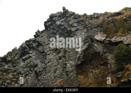 säulenförmigen Basalt der Pyramiden Lava Felsformationen Otago Peninsula Dunedin Neuseeland Südinsel Stockfoto