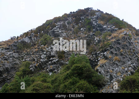 säulenförmigen Basalt der Pyramiden Lava Felsformationen Otago Peninsula Dunedin Neuseeland Südinsel Stockfoto