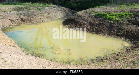 Fluß Pinn lange Wiese Backwaters Schema auf dem Fluss Pinn, Pinner, Middlesex Stockfoto