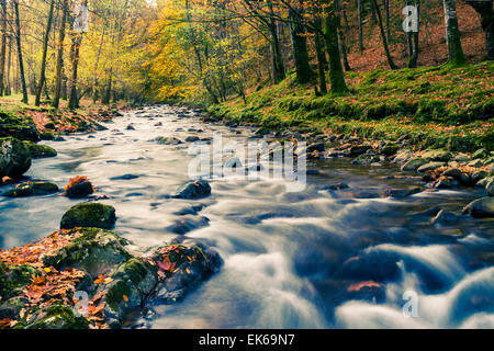 Wald und Fluss im Herbst. Ucieda. Ruente. Cabuerniga Tal. Kantabrien, Spanien, Europa. Stockfoto