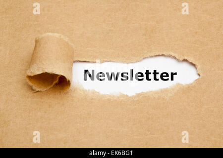 Das Wort Newsletter erscheint hinter zerrissenes braunen Papier. Stockfoto