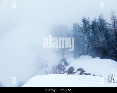Nebligen Winter Blick auf Dolomiten, Alpen, Italien Stockfoto