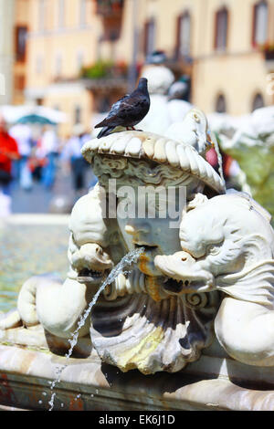 Details der schönen Brunnen auf der Piazza Navona in Rom Stockfoto