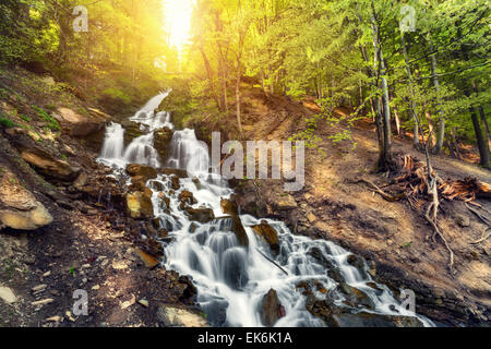 Schöner Wasserfall im Frühlingswald. Sonnenuntergang (Ukraine) Stockfoto