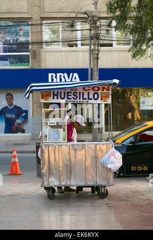 COPIAPO, CHILE - 14. Februar 2015: Unbekannte Frau stehenden Wagen verkaufen Mote Con Huesillo (chilenische beliebte Kaltgetränk) Stockfoto