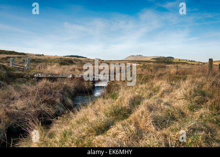 Einen kleinen Stein Klöppel Brücke über Fluss De Lank Bodmin Moor in Cornwall, wie er windet sich der Weg vorbei Broown Willy mit Roughtor Stockfoto