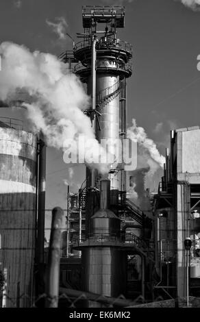 Dies ist ein Beispiel für die Verunreinigung der Luft am Arbeitsplatz. Ein Schornstein nehmen Sie Rauch in einer Zellstoff-Fabrik. Die Luftverschmutzung ist Kontamination Stockfoto