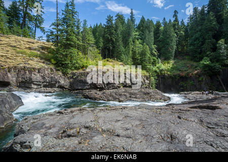 Nordamerika, Kanada, British Columbia, Vancouver Island, Elk Falls Provincial Park, Campbell River Stockfoto