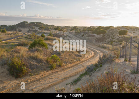 Donana Nationalpark befindet sich in Andalusien. Bereich der Sumpf, seichten Bächen und Sanddünen im Las Marismas, der Guadalquivir Rive Stockfoto