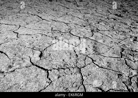 Trockene rissige Erde Textur oder Hintergrund, Nogales Reservoir, Badajoz, Spanien Stockfoto