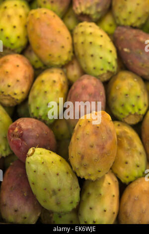 Früchte von Opuntia Ficus-Indica Kaktusfeigen, Malaga, Spanien Stockfoto