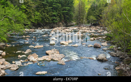 New York, Adirondack Park, Ausable River, Mann und Frau fliegen Fischen, schwarzen Lab Hund auf Felsen Stockfoto