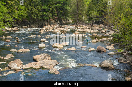 New York, Adirondack Park, Ausable River, Mann und Frau fliegen Fischen, schwarzen Lab Hund auf Felsen Stockfoto