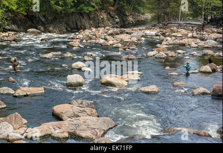 New York, Adirondack Park, Wilmington, Ausable River, Mann und Frau fliegen Fischen, schwarzen Lab Hund auf Felsen Stockfoto