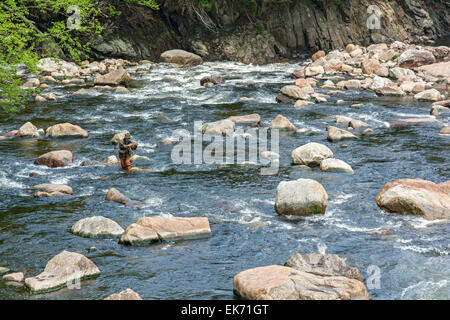 New York, Adirondack Park, Ausable River Mann Fliegenfischen Stockfoto