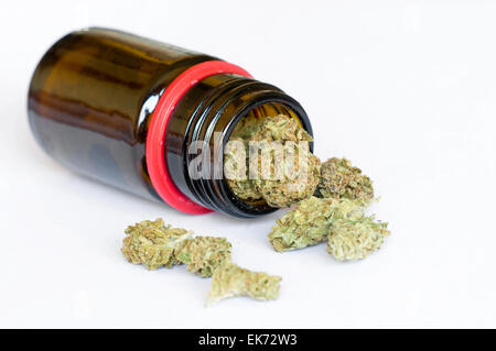 Trockenen Marihuana Knospen auf weißem Hintergrund Stockfoto