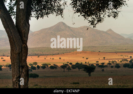 Kidepo Valley Nationalpark in Nord-Uganda, Ostafrika Stockfoto