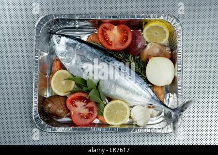 Kleiner Thun, Thun, alby, Albacore, silberne Farbe. Stockfoto