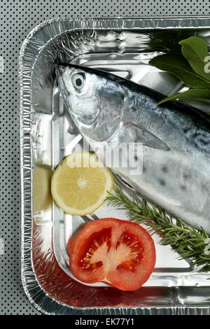 Kleiner Thun, Thun, alby, Albacore, silberne Farbe. Stockfoto