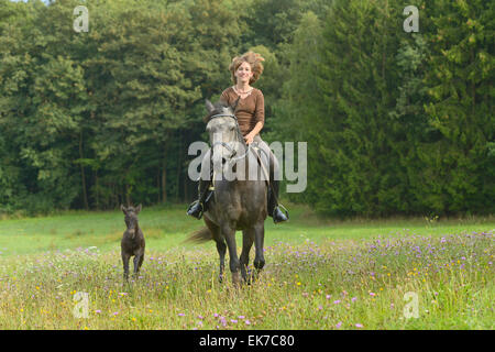 Connemara Pony junge Reiter Rückseite Stute, begleitet von seinen Fohlen Deutschland Stockfoto