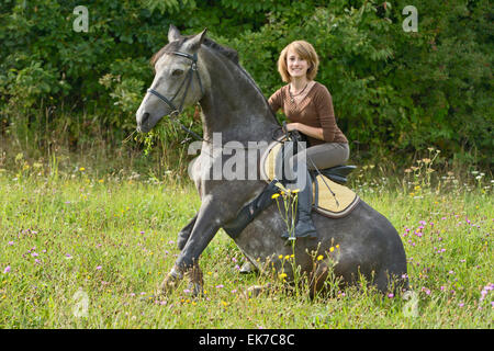 Junger Fahrer Rückseite Connemara Pony sitzen Wiese Deutschland Stockfoto