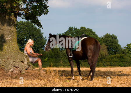 Holsteiner Pferd Frau gesattelt Stute den Schatten einer Eiche Deutschlands Stockfoto