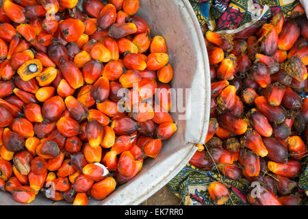 Früchte einer Palme werden verwendet in der Herstellung von hausgemachten Palmöl in Grand Bassam, Elfenbeinküste, Westafrika. Stockfoto