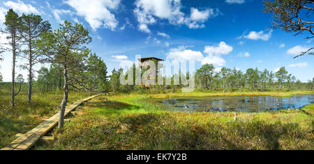 Panoramablick auf Viru Mooren Stockfoto