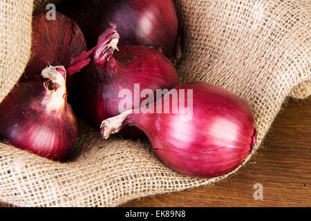 Rote Zwiebel Stockfoto