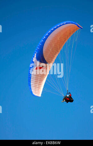 Mann-Paragliding vor einem strahlend blauen Himmel Stockfoto