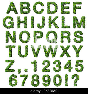 Alphabet mit Zahlen aus grünen Blättern, die isoliert auf weißem Hintergrund gemacht. 3D Render. Stockfoto