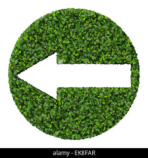 Pfeil aus grünen Blättern auf Hintergrund isoliert gemacht. 3D Render. Stockfoto