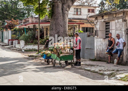 Mann bei Obst und Gemüse Stand auf der Seite der Straße in einem Vorort von Havanna in Kuba führt zu Ernest Hemingways Haus Stockfoto