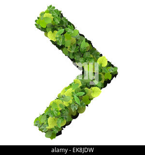 Pfeil aus grünen Blättern auf Hintergrund isoliert gemacht. 3D Render. Stockfoto