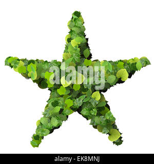 Stern / Sonne hergestellt aus grünen Blätter isolierten auf weißen Hintergrund. 3D Render. Stockfoto