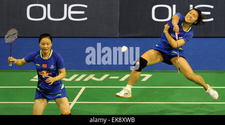 (150408)--Singapur, 8. April 2015 (Xinhua)--Xia Huan (L) und Tian Qing China konkurrieren gegen Chan Kaka AsZ Ka/Tse Ying Suet von Hong Kong, China, während die Frauen-Doppel-Match bei den 2015 OUE Singapur Open in Singapur, 8. April 2015. Xia Huan und Tian Qing gewann 2: 0. (Xinhua/Then Chih Wey) Stockfoto