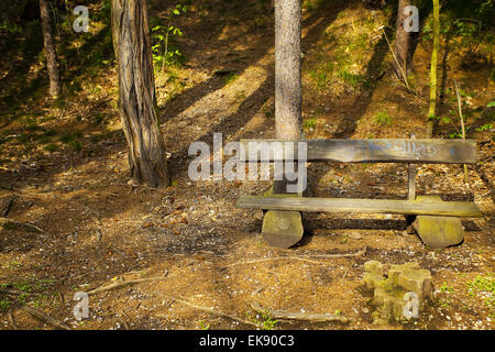 einsamer Holzbank im Wald Stockfoto