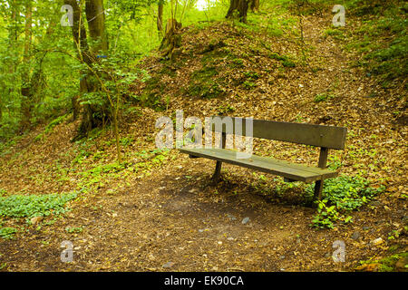 eine einsame Bank in dem grünen Wald Stockfoto