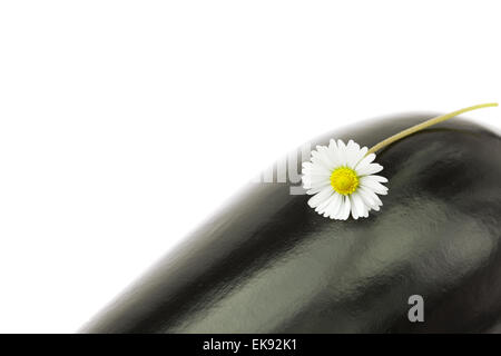 Auberginen und eine Blume isoliert auf weiss Stockfoto