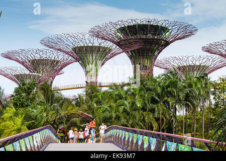 SuperTree. Gardens by the Bay. Marina Bay. Singapur, Asien. Stockfoto
