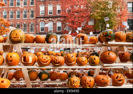 Kürbisfest, Keene, Cheshire County, New Hampshire, USA Stockfoto