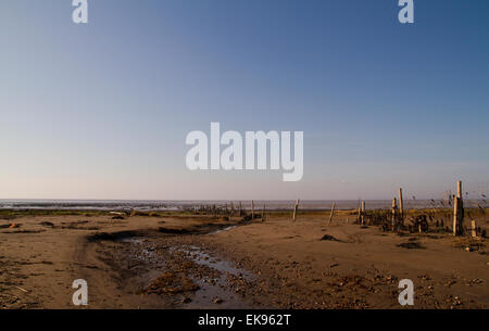 Stert Wohnungen in Bridgewater Somerset Stockfoto