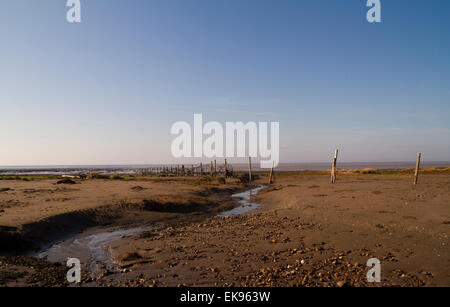 Stert Wohnungen in Bridgewater Somerset Stockfoto